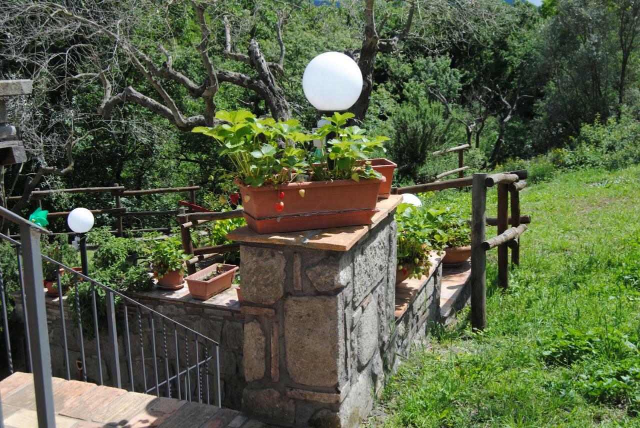 Villa Farfalla Bianca Vitorchiano Dış mekan fotoğraf