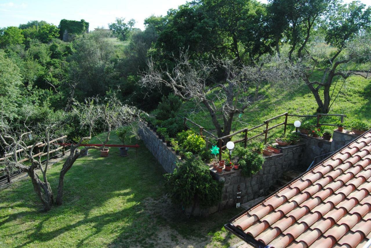Villa Farfalla Bianca Vitorchiano Dış mekan fotoğraf