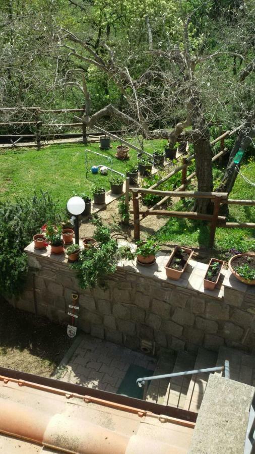Villa Farfalla Bianca Vitorchiano Dış mekan fotoğraf